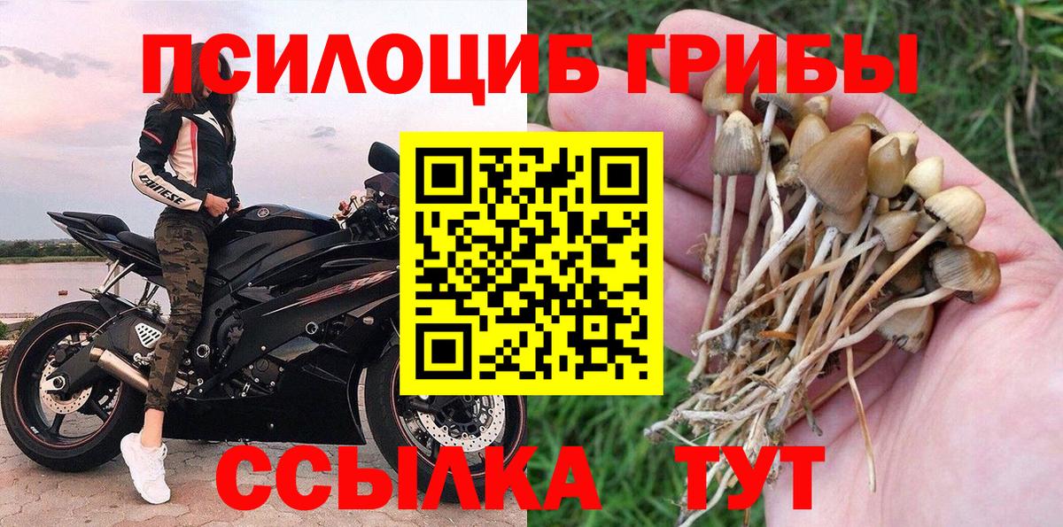 Галлюциногенные грибы прущие грибы  Псилоцибиновые грибы Cubensis  Вход с VPN  Узловая 