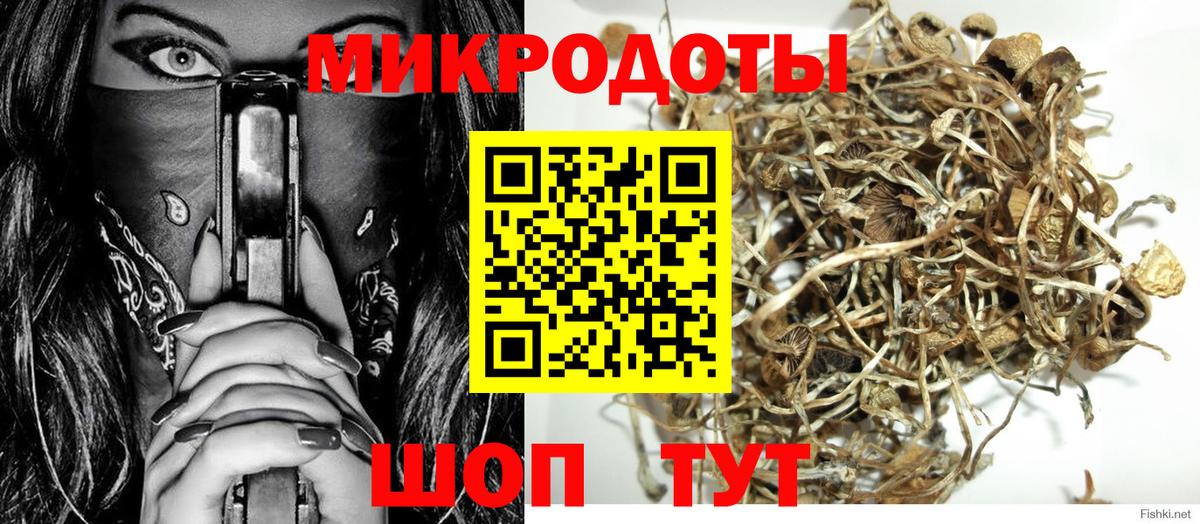 Псилоцибиновые грибы Psilocybe Узловая